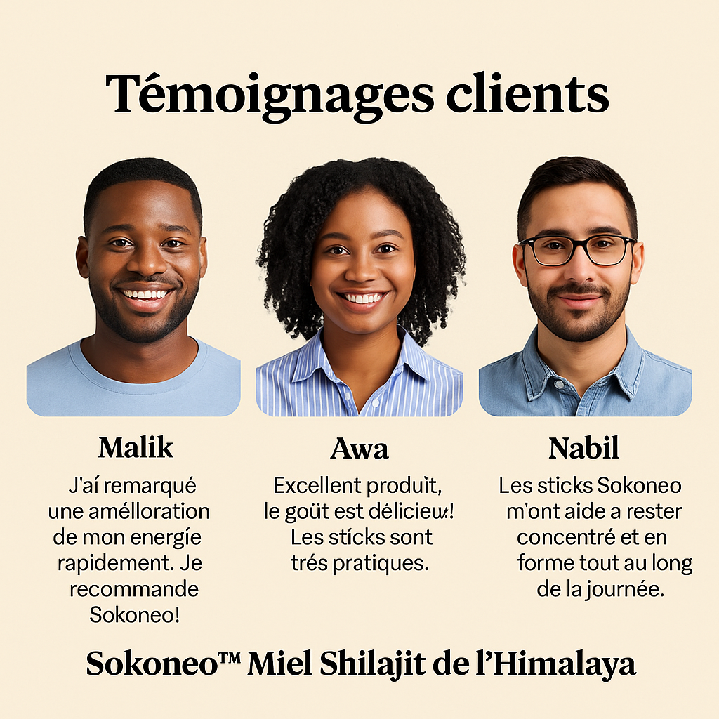 Sokoneo™ Miel Shilajit de l’Himalaya – 30 sticks_GN