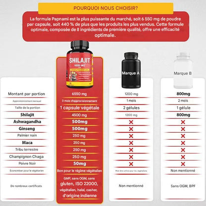Sokoneo™  Shilajit 6550 mg - 8 ingrédients .