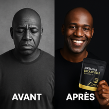Charger l&#39;image dans la galerie, Sokoneo™ Pure Shilajit Gummies (60 gommes)_CM
