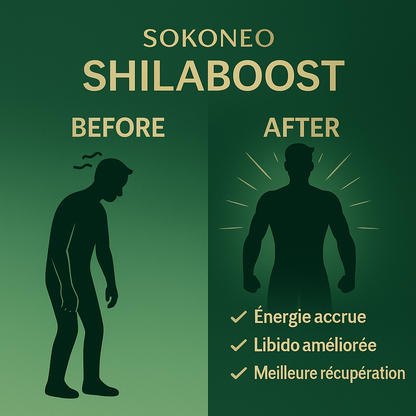 Sokoneo™ ShilaBoost