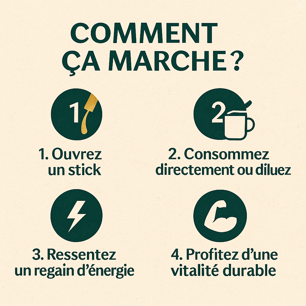 Sokoneo™ Miel Shilajit de l’Himalaya – 30 sticks_GN