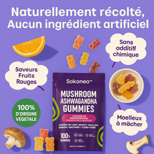 Charger l&#39;image dans la galerie, Sokoneo™ mushroom ashwagandha gummies
