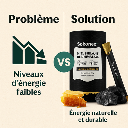 Sokoneo™ Miel Shilajit de l’Himalaya – 30 sticks_GN
