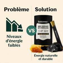 Charger l&#39;image dans la galerie, Sokoneo™ Miel Shilajit de l’Himalaya – 30 sticks_GN
